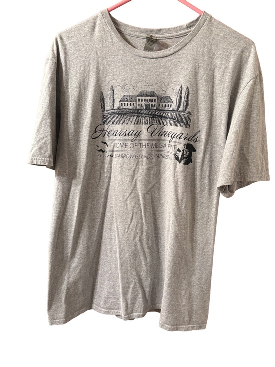 Gildan Tops - Disney Pirates of the Caribbean Johnny Depp tee Women’s XL Gray Women’s Megapint